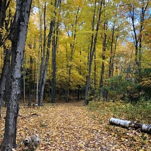 Meet your Posher, Jazzy